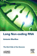 Long Non-coding RNA: The Dark Side of the Genome