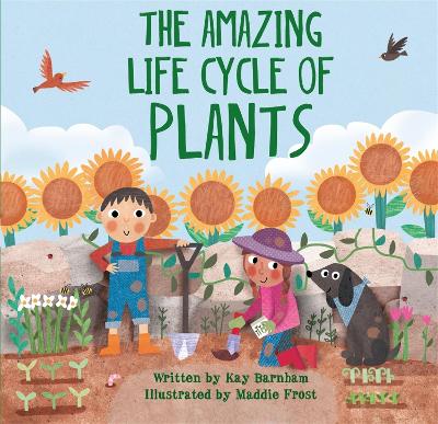 Look and Wonder: The Amazing Plant Life Cycle Story - Barnham, Kay
