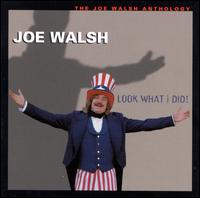 Look What I Did!: The Joe Walsh Anthology - Joe Walsh
