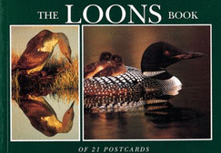 Loons Postcard Book