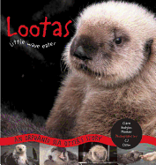 Lootas Little Wave Eater: An Orphaned Sea Otter's Story