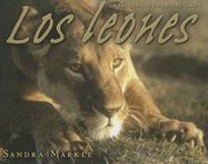 Los Leones