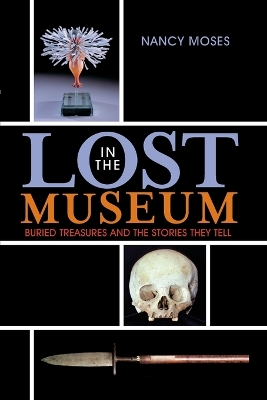 Lost in the Museum: Buried Treasures and the Stories They Tell - Moses, Nancy
