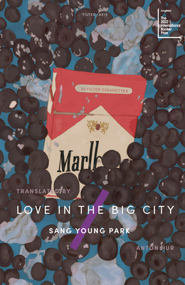Love in the Big City - Park, Sang Young, and Hur, Anton (Translated by)