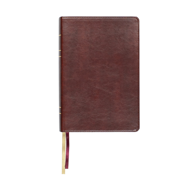Lsb Large Print Wide Margin Paste-Down Reddish-Brown Faux Leather - Steadfast Bibles