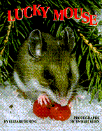 Lucky Mouse
