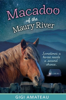 Macadoo: Horses of the Maury River Stables - Amateau, Gigi