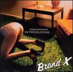 Macrocosm: Introducing...Brand X