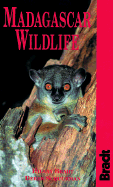 Madagascar Wildlife