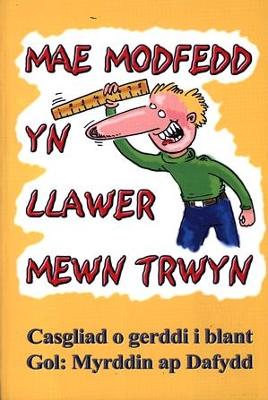 Mae Modfedd yn Llawer Mewn Trwyn - Gwalch, Gwasg Carreg, and Dafydd, Myrddin ap (Editor)