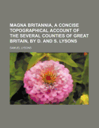 Magna Britannia, a Concise Topographical Account of the Several Counties of Great Britain, by D. and S. Lysons