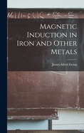 Magnetic Induction in Iron and Other Metals