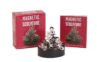 Magnetic Sculpture: It's Never the Same Thing Twice - Herr, Joelle