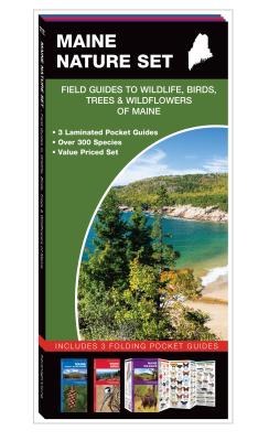 Maine Nature Set: Field Guides to Wildlife, Birds, Trees & Wildflowers of Maine - Kavanagh, James, and Waterford Press