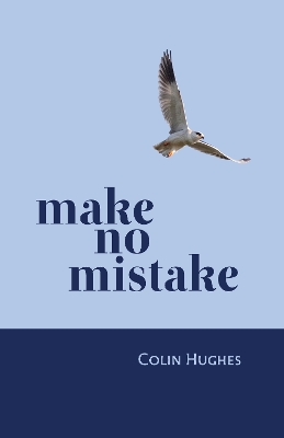 Make No Mistake - Hughes, Colin