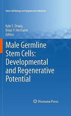 Male Germline Stem Cells: Developmental and Regenerative Potential - Orwig, Kyle E (Editor), and Hermann, Brian P (Editor)