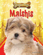 Malshis