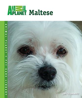 Maltese - Fernandez, Amy