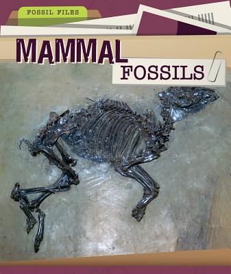 Mammal Fossils - Haynes, Danielle