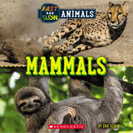 Mammals (Wild World: Fast and Slow Animals)