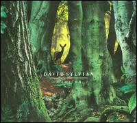 Manafon - David Sylvian