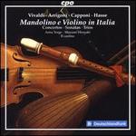 Mandolino e Violino in Italia