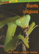 Mantis Religiosa