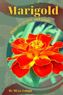 Marigold: Plant overview and guide