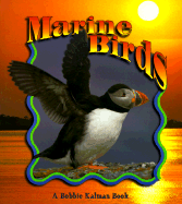 Marine Birds