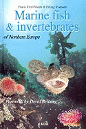 Marine Fish & Invertebrates of Northern Europe