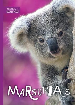 Marsupials - Tyler, Madeline, and Webster-Jones, Danielle (Designer)
