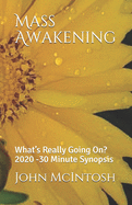 Mass Awakening: What's Really Going On? 2020 -30 Minute Synopsis