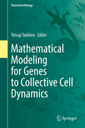 Mathematical Modeling for Genes to Collective Cell Dynamics