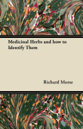 Medicinal Herbs and How to Identify Them