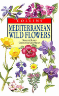 Mediterranean Wild Flowers - Blamey, Marjorie, and Grey-Wilson, Christopher