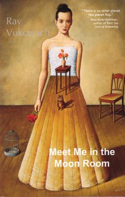 Meet Me in the Moon Room: Stories - Vukcevich, Ray