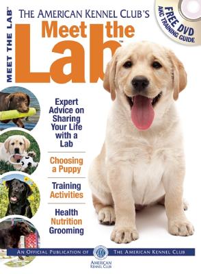 Meet the Lab - American Kennel Club