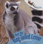 Meet the Ring-Tailed Lemur