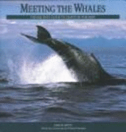Meeting the Whales: The Equinox Guide to Giants of the Deep - Hoyt, Erich