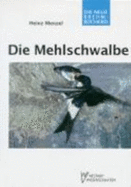 Mehlschwalbe