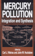 Mercury Pollution Integration and Synthesis