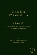 Metabolons and Supramolecular Enzyme Assemblies