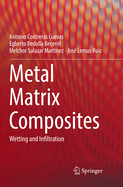 Metal Matrix Composites: Wetting and Infiltration