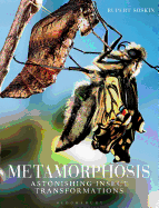 Metamorphosis: Astonishing Insect Transformations