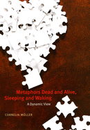 Metaphors Dead and Alive, Sleeping and Waking: A Dynamic View