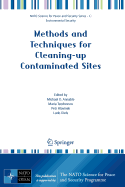 Methods and techniques for cleaning-up contaminated sites