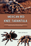 Mexican Red Knee Tarantula: A Detailed Guide On How To Raise And Take Care Of Your Mexican Red Knee Tarantulas Health