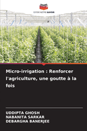 Micro-irrigation: Renforcer l'agriculture, une goutte ? la fois