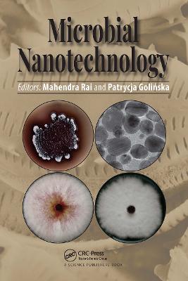 Microbial Nanotechnology - Rai, Mahendra (Editor), and Goli ska, Patrycja (Editor)