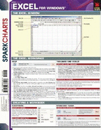 Microsoft Excel 2003 for Beginners (Sparkcharts)